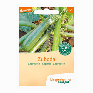 Bingenheimer Saatgut Courgette Zuboda