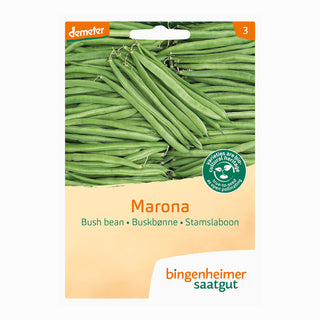 Bingenheimer Saatgut Struikboon Marona