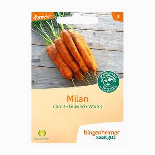 Bingenheimer Saatgut Wortel Milan