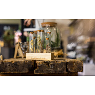 Blomster- og krydderurterør i træ L