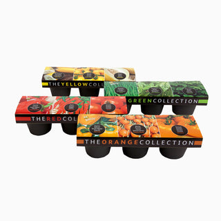 Buzzy Color 3 Pots Geel