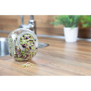 Buzzy Organic Kiemgroente Pikante Salade in Glazen Pot