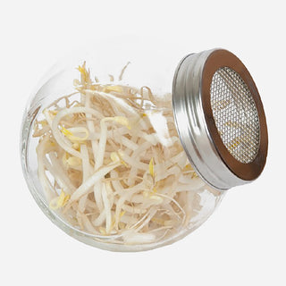 Kiemgroente Tauge in Glazen Pot