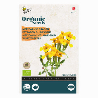 Buzzy Organic Mexicaanse dragon (Tagetes Lucida) 94733