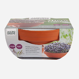 Buzzy Sprouting Microgreens Terra Schaaltje Rode Mizuna