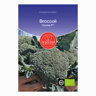 Broccoli 'Covina F1'