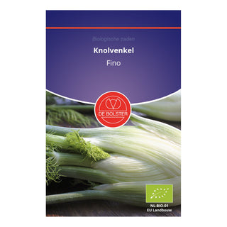 De Bolster Knolvenkel 'Fino' 1420