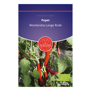 De Bolster Peper 'Westlandse Lange Rode' 1640