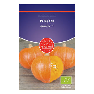 De Bolster Pompoen 'Amoro F1' 1642