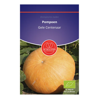 De Bolster Pompoen 'Gele Centenaar' 1670