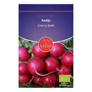 De Bolster Radijs 'Cherry Belle' 1730