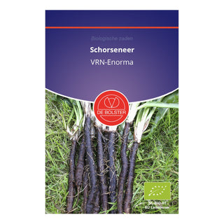 De Bolster Schorseneer 'VRN-Enorma' 1770