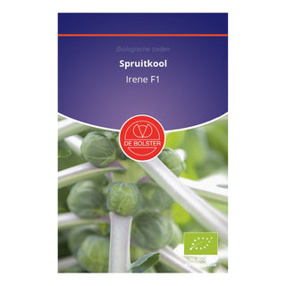 De Bolster Spruitkool 'Irene F1' 1581