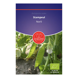 De Bolster Stampeul 'Norli' 1300