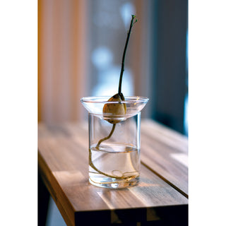 Esschert Design Kiemvaas L