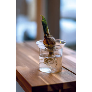 Esschert Design Kiemvaas S