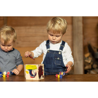 Nestkastje met Schilderset