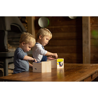 Nestkastje met Schilderset