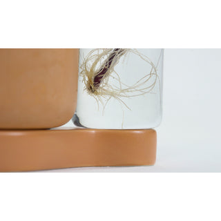 Greenfinity Terracotta Kweekstation