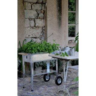 Urban Garden Trolley Kweektafel