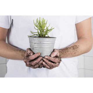 Plantenpot Zink ∅12cm