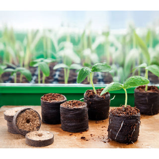 Kokostabletten (20) Romberg