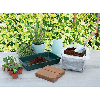  Kokostablet 10 Liter Sogo