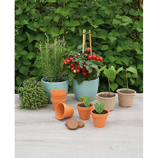 Sogo Stenen Terracotta Potjes 7/8cm (7)