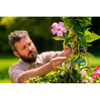 Stocker Bio Bindbuis Ø 5 Mm (100 M)