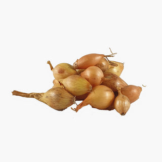 Sturon BIO sætteløg 250g