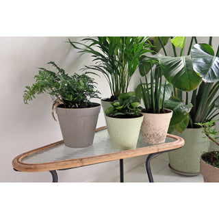 Plantenpot 'Jungle Fever' M