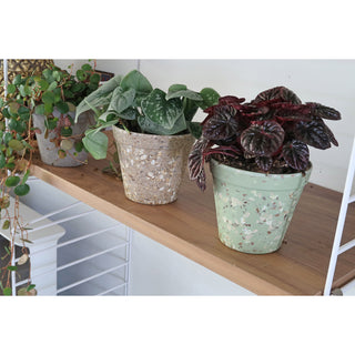 Plantenpot 'Jungle Fever' S